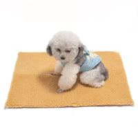 Winter self-heating and heat-retaining dog house