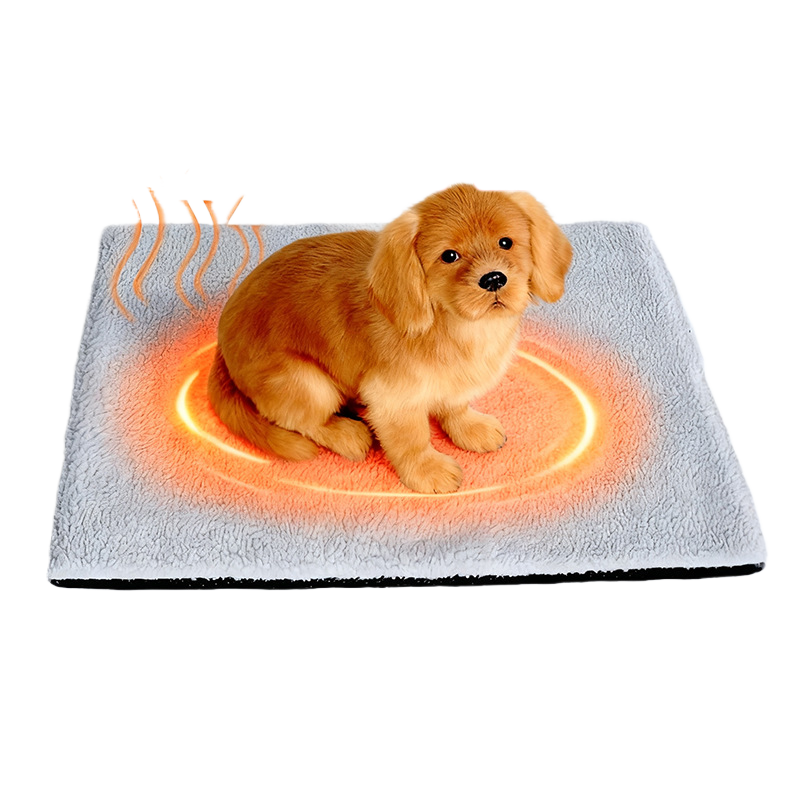 Winter self-heating and heat-retaining dog house